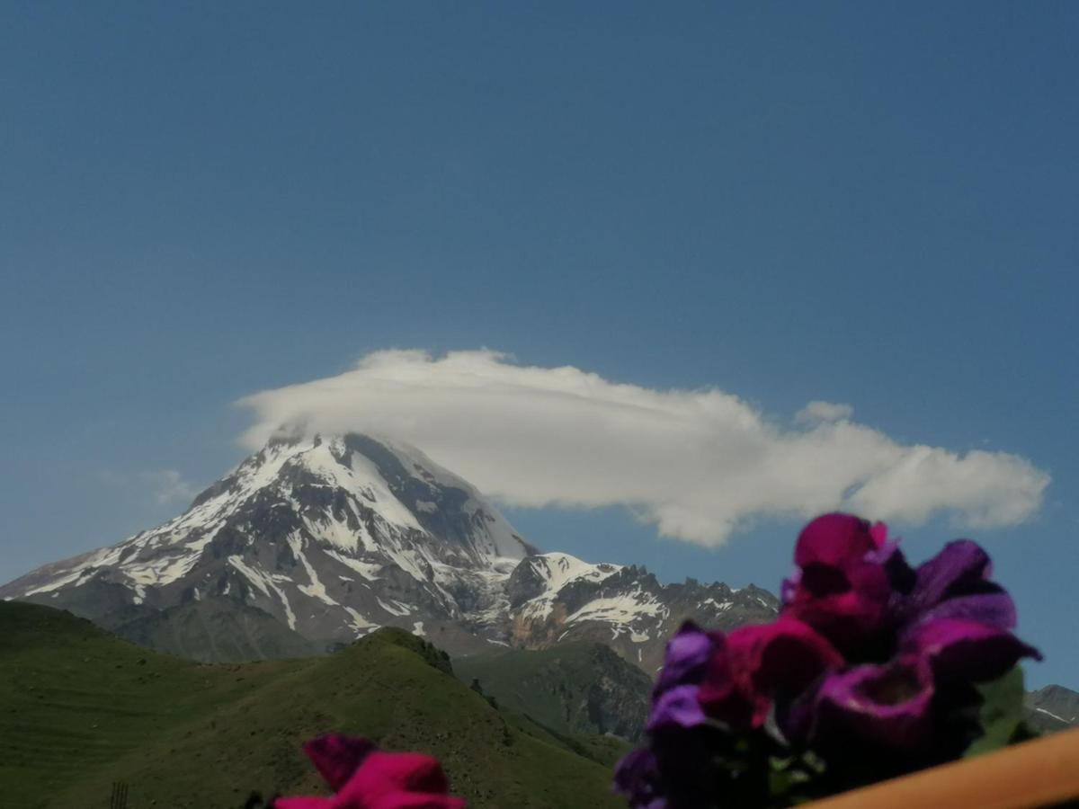 Panorama Cottages Kazbegi Exterior foto